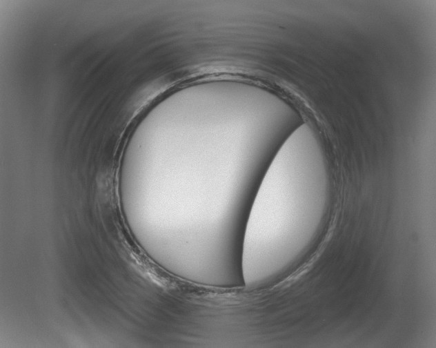 X0000079581121200612010918