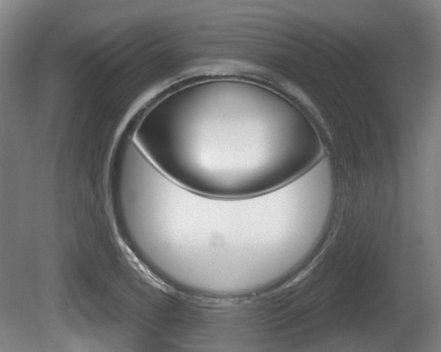 X0000079581122200612010918