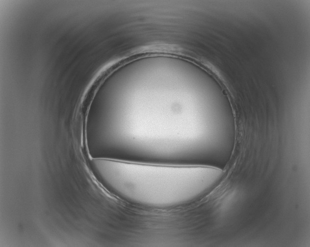 X0000079581123200612010918