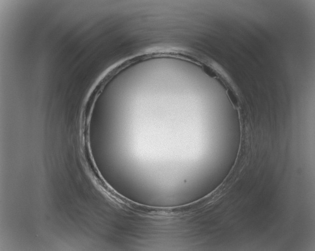 X0000079581124200612010918