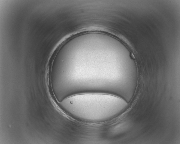 X0000079581126200612010918