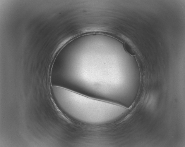 X0000079581129200612010918