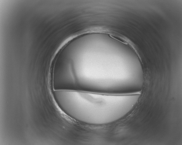 X0000079581147200612010919