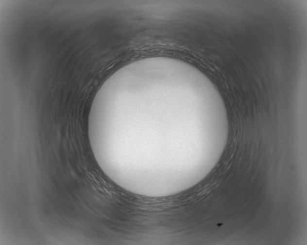 X0000079581156200612010918