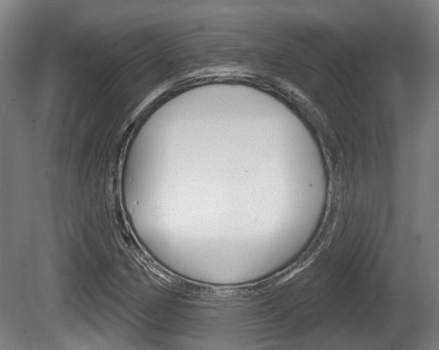 X0000079581162200612010918
