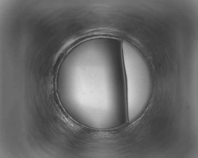 X0000079581164200612010918
