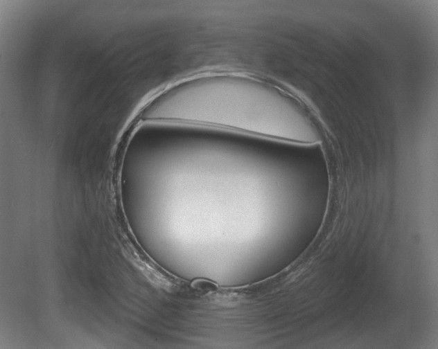 X0000079581168200612010918