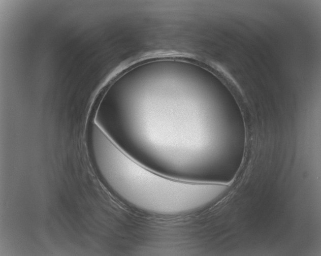 X0000079581173200612010918