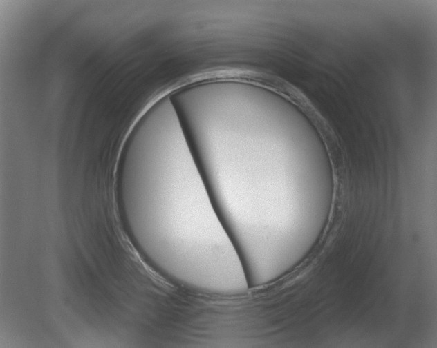 X0000079581178200612010917
