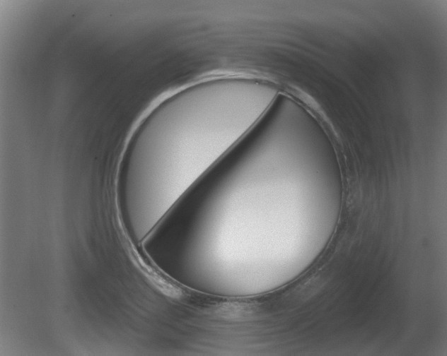 X0000079581179200612010917