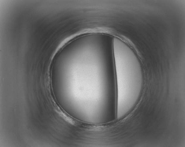 X0000079581184200612010917