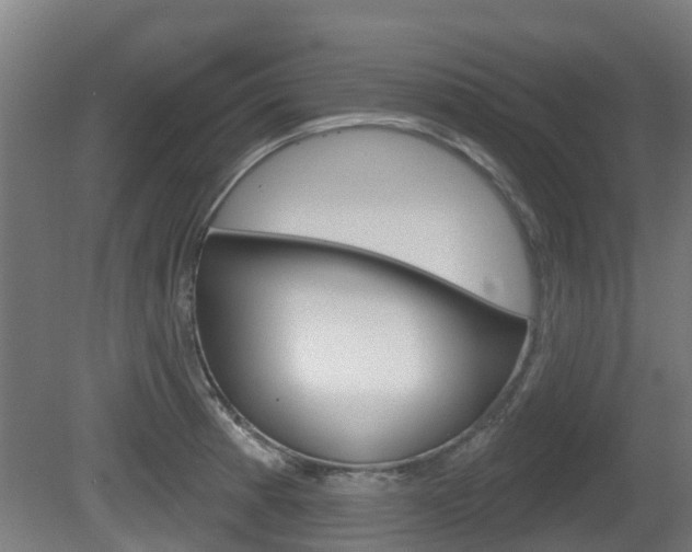 X0000079581185200612010917