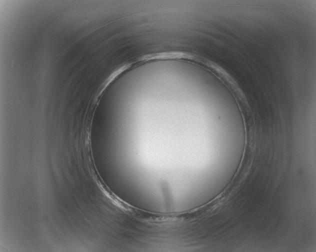 X0000079581193200612010917