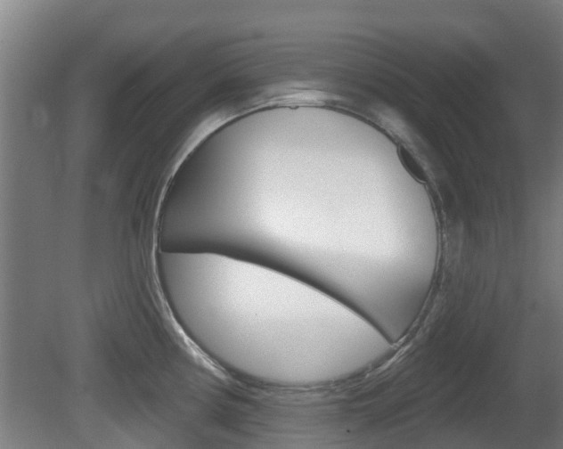 X0000079581194200612010917