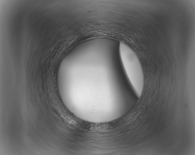 X0000079581201200612010916