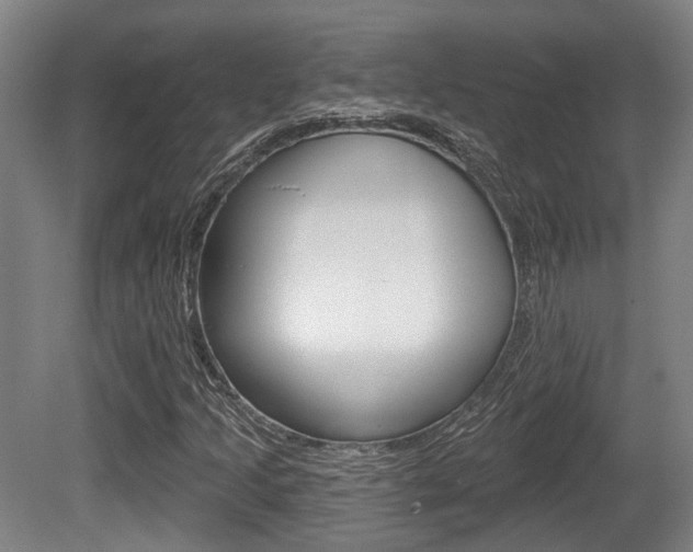X0000079581205200612010916