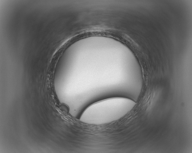 X0000079581208200612010916