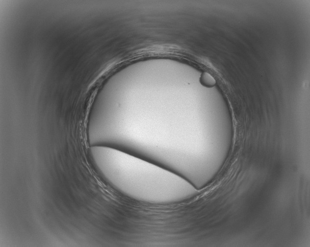 X0000079581211200612010916