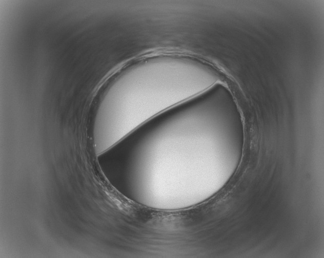 X0000079581213200612010916