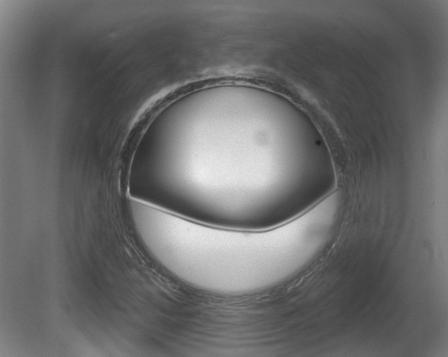 X0000079581214200612010916