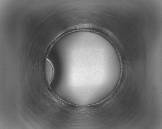 X0000079581217200612010917