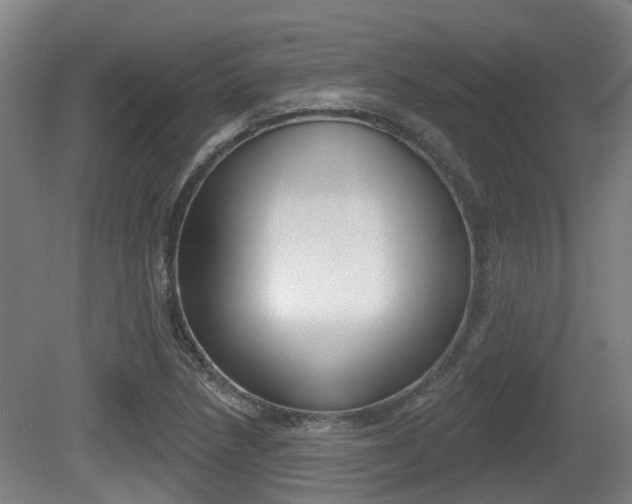 X0000079581218200612010917