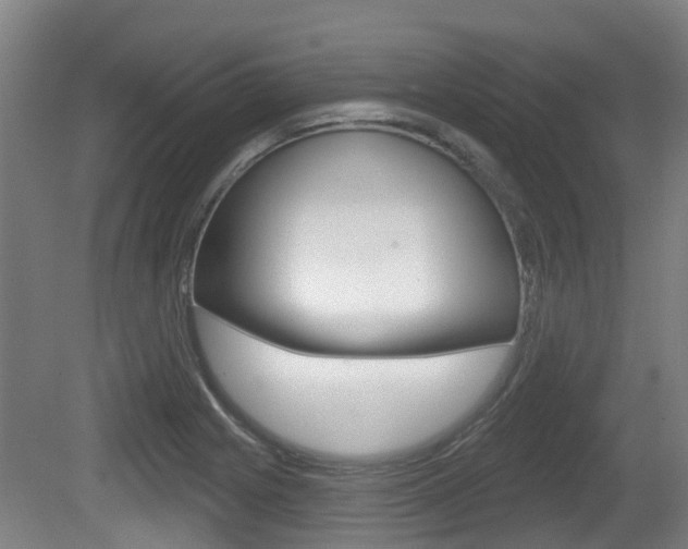 X0000079581225200612010917