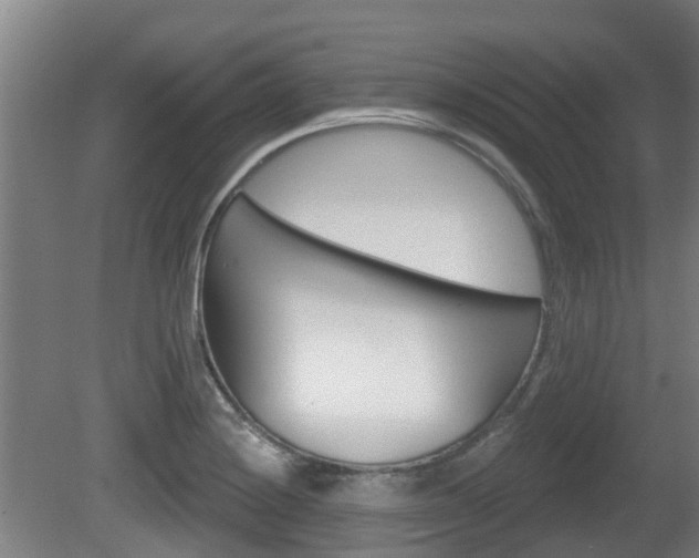 X0000079581228200612010917