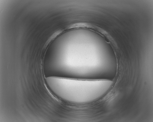 X0000079581233200612010917