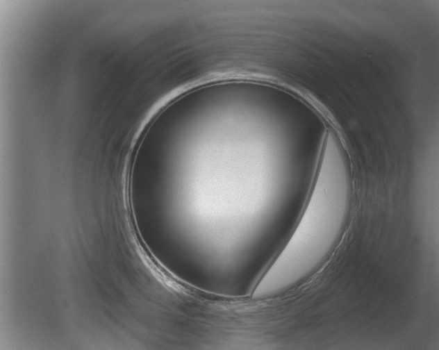 X0000079581246200612010917