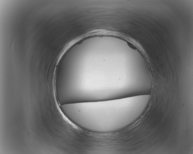 X0000079581247200612010917