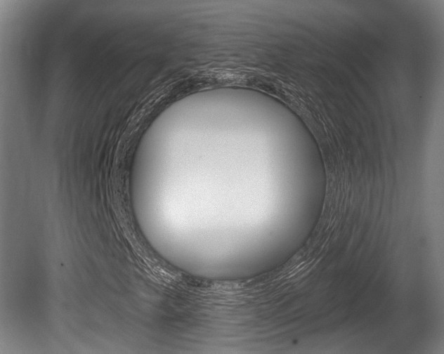 X0000079581249200612010916