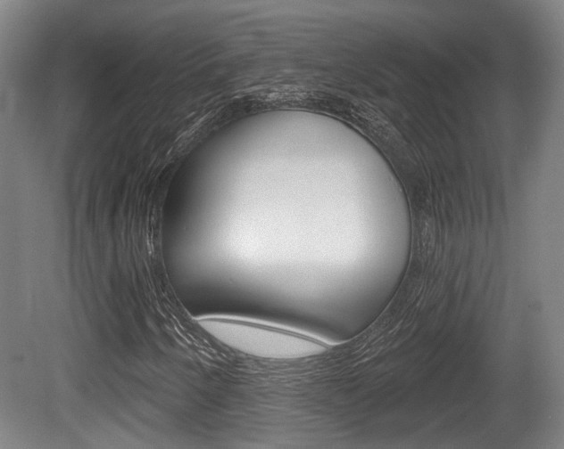 X0000079581250200612010916