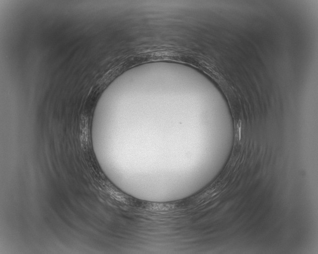 X0000079581251200612010916
