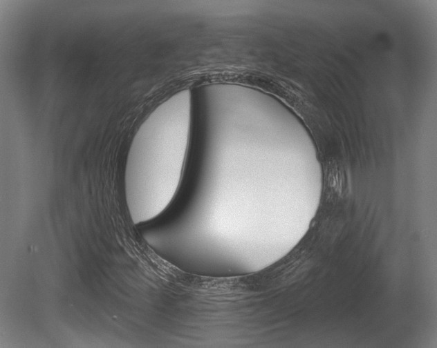 X0000079581252200612010916