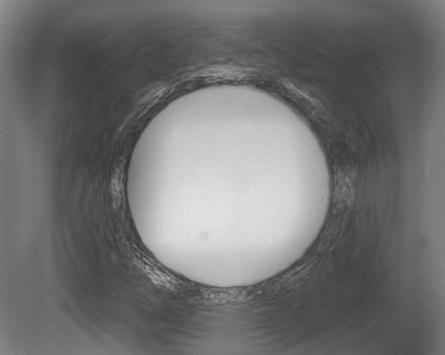 X0000079581254200612010916