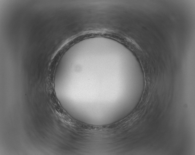 X0000079581256200612010916