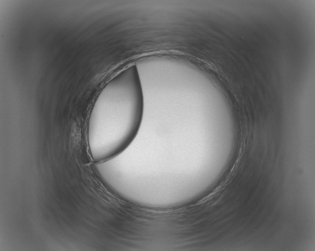 X0000079581257200612010916