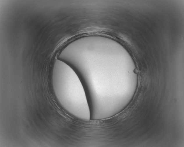 X0000079581259200612010916