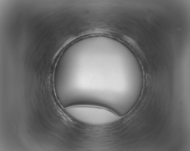 X0000079581260200612010916