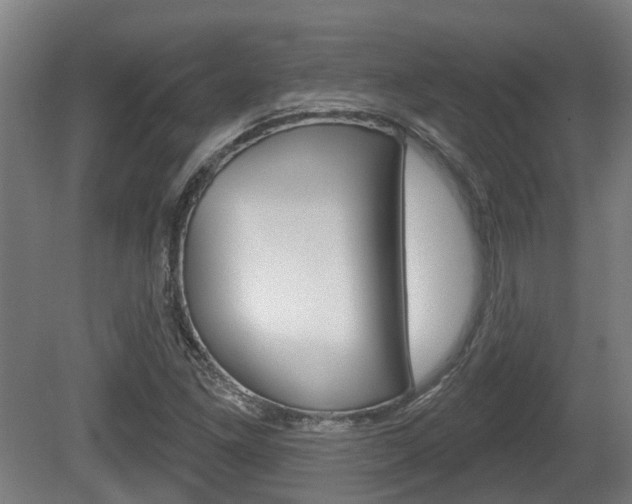 X0000079581261200612010916