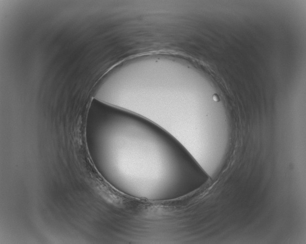 X0000079581265200612010916