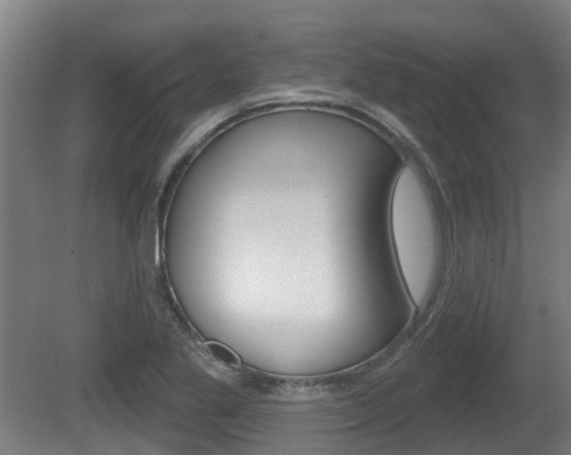 X0000079581269200612010916