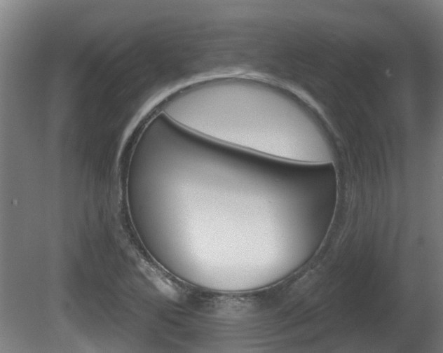 X0000079581270200612010916
