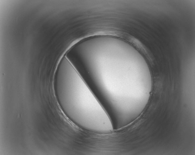 X0000079581284200612010916