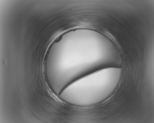 X0000079581292200612010916