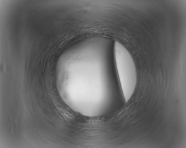 X0000079581297200612010915