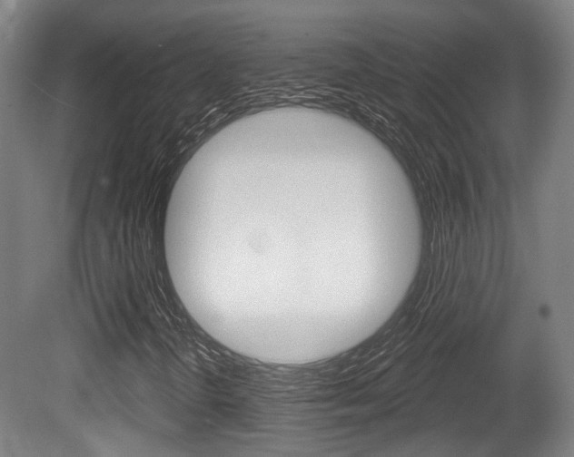 X0000079581298200612010915