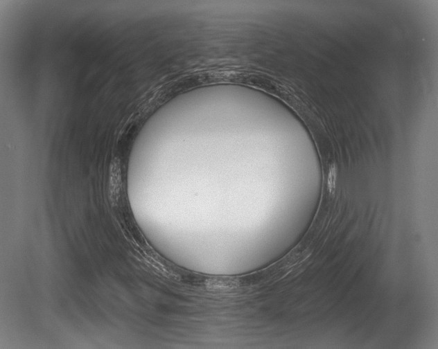 X0000079581299200612010915