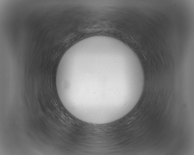 X0000079581300200612010915